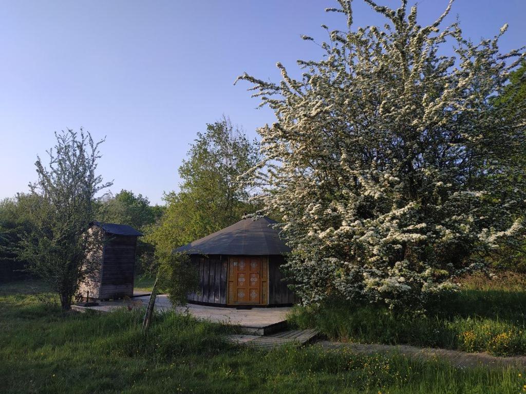 Hotel Le Bois Davy Le Thoureil Exterior foto